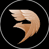 Avis-Logo-dubourgcapital Dubourg Capital Partners